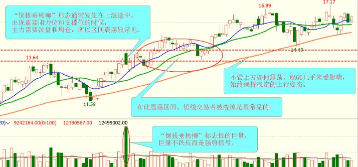 股票k线倒拔杨柳,股票即将拉升k线形态图解