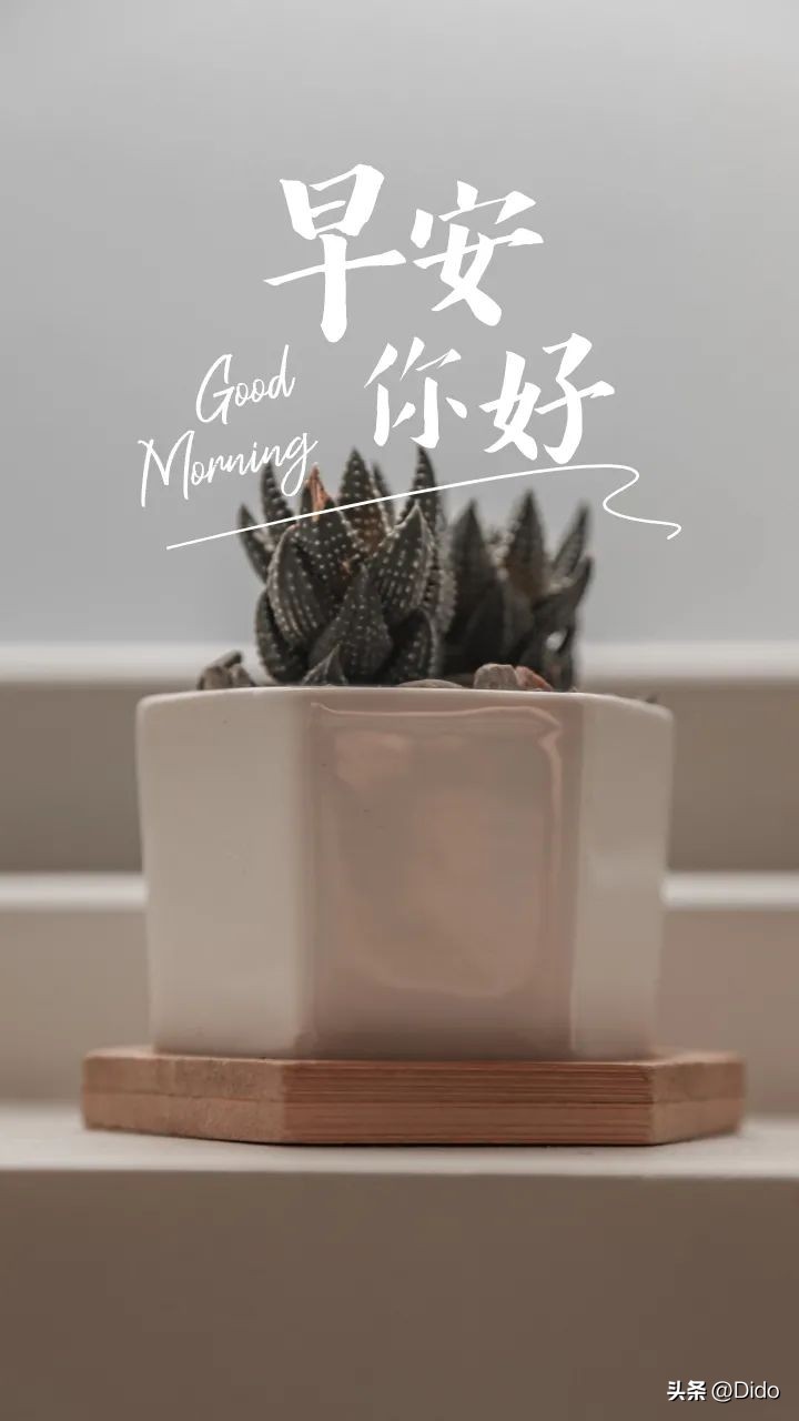 早安不乱于心不困于情不畏将来,早安不念过往不畏将来图片