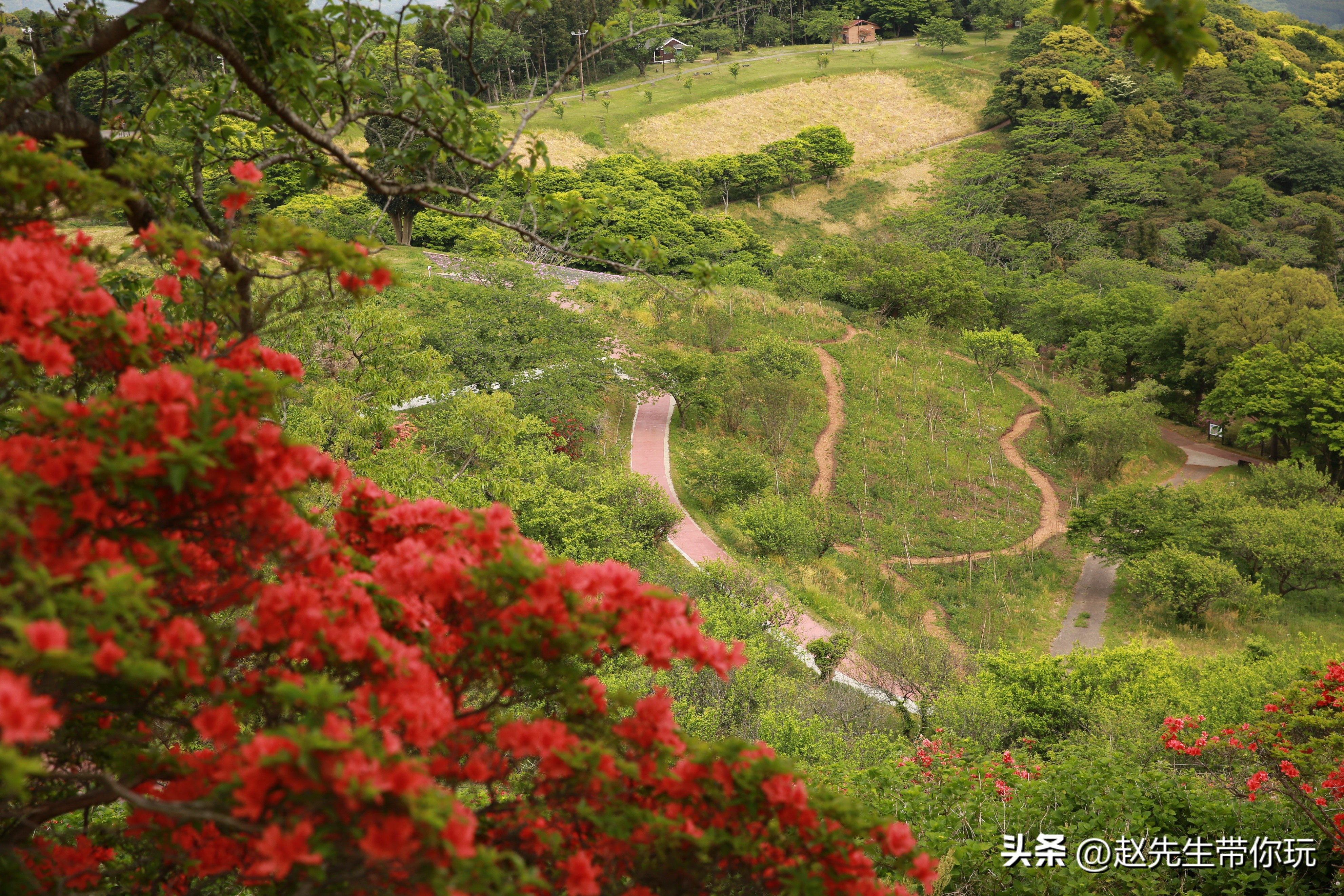 20年旅行总结,二十年游历分享