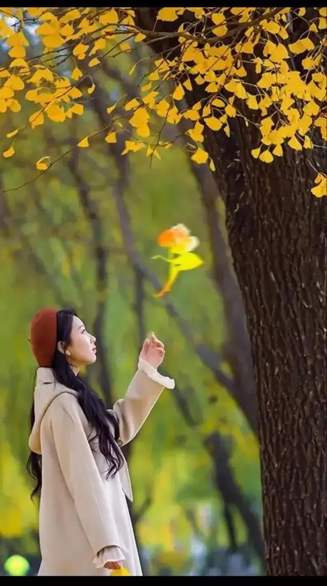 美丽的等待第二集,美丽的等待作文