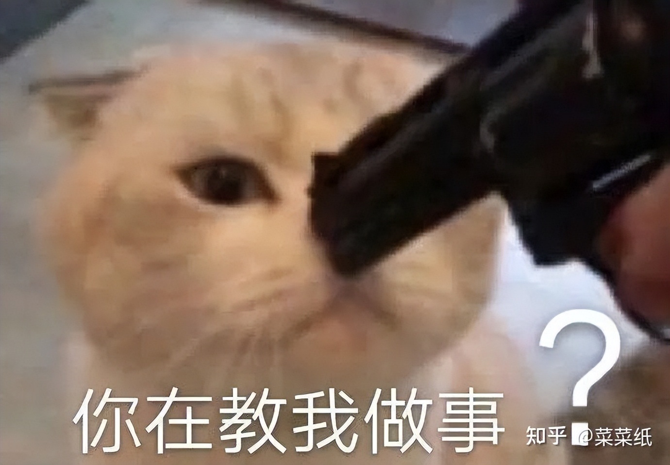 小米拍照好的手机哪款值得买,小米系列拍照最好的手机排行