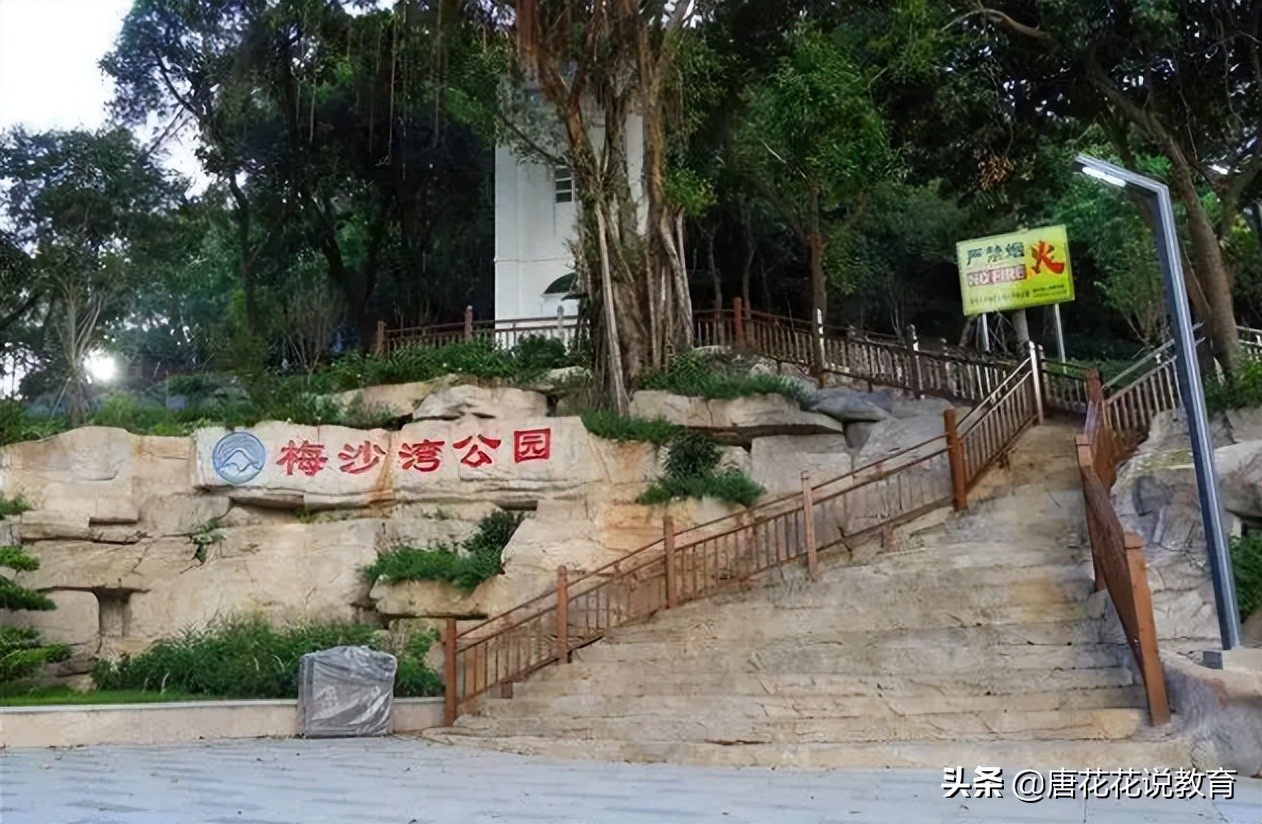 深圳地铁8号线可以看海吗,深圳地铁15号线游玩攻略路线