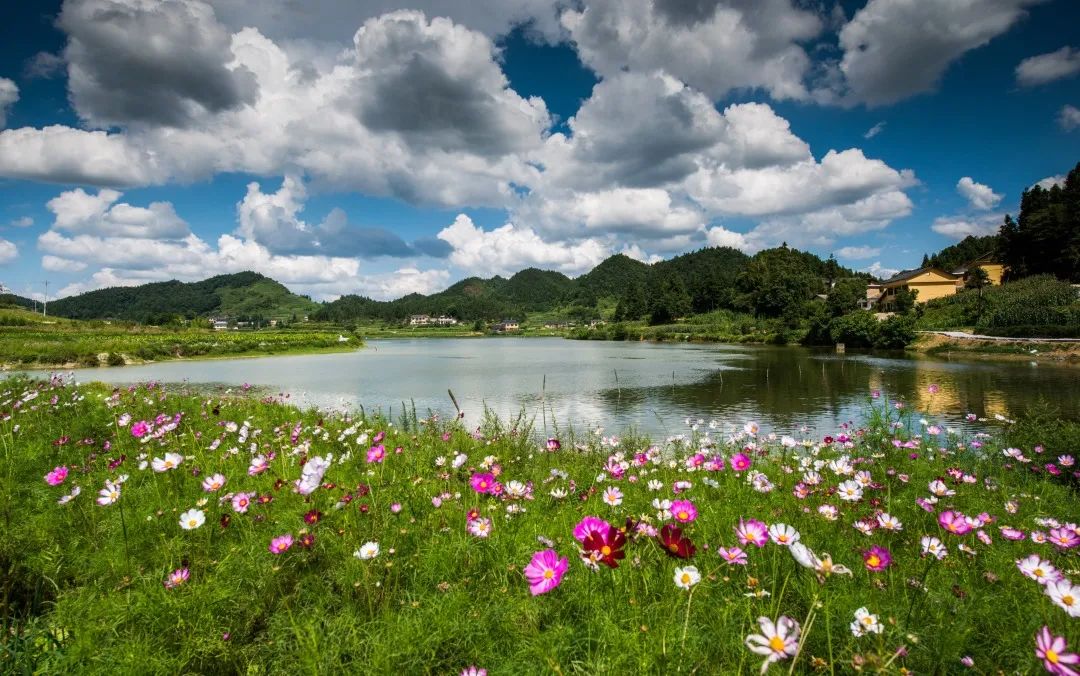 泸州一天的游玩攻略,泸州假期去哪里玩