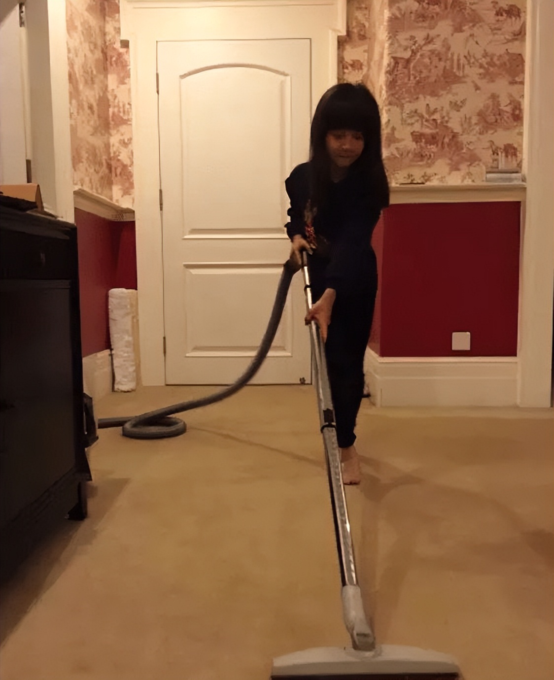 豪宅“内幕”揭晓：配备5个保姆，却依然需要全屋中央除尘系统