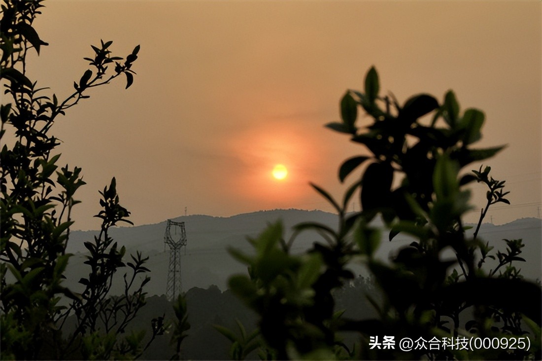 媒体转载丨蹄印古茶：低调得让人痛惜的一味禅茶