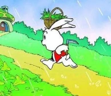 毛毛虫故事睡前听,儿童睡前故事毛毛虫的故事