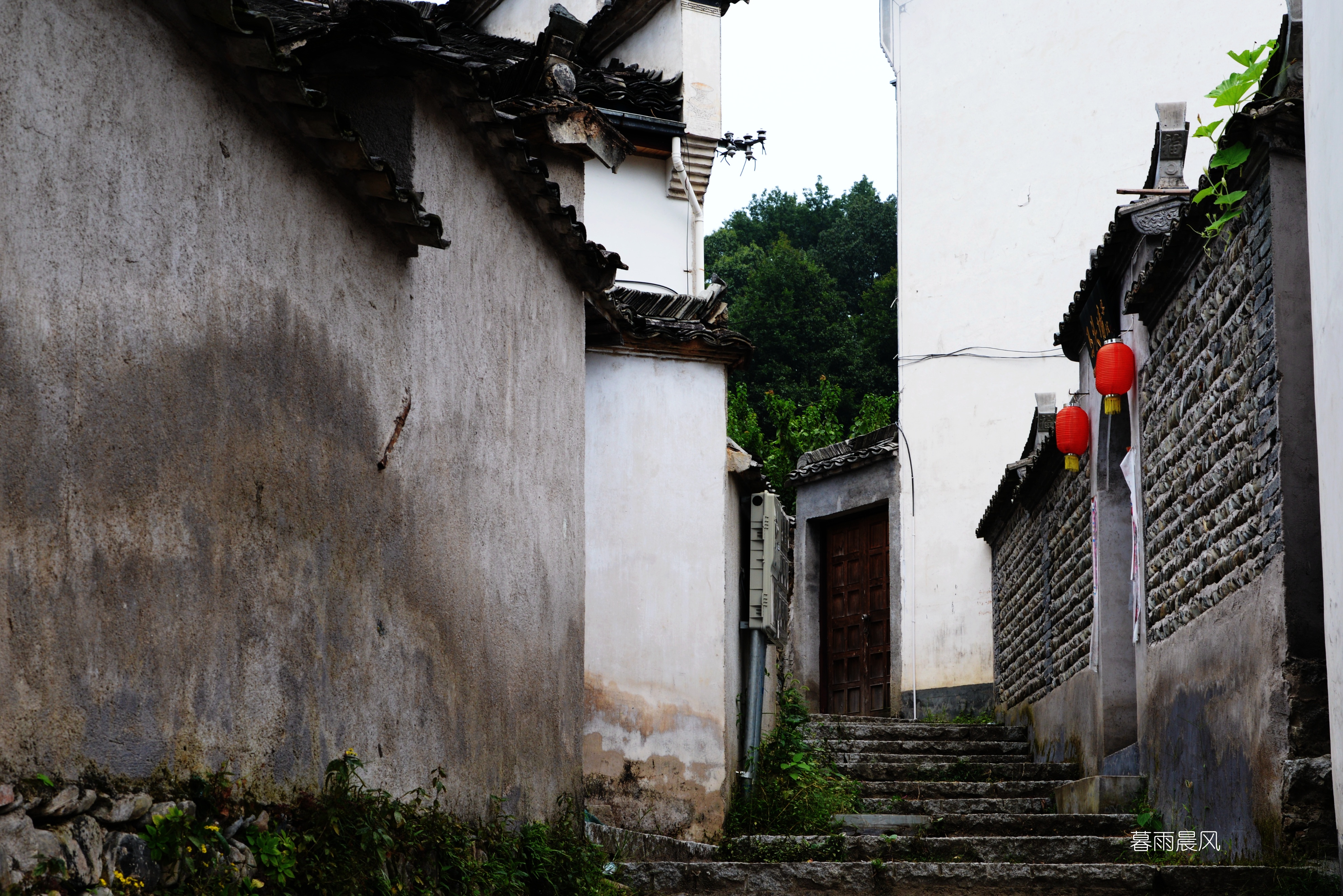 2014年黄山游,2014黄山银毫