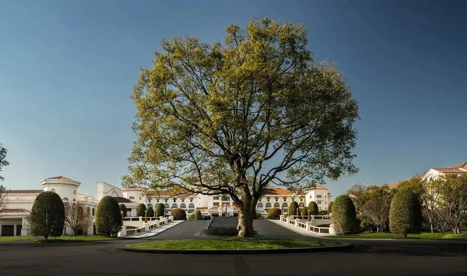 南京苏宁钟山国际高尔夫酒店介绍,苏宁钟山国际高尔夫酒店