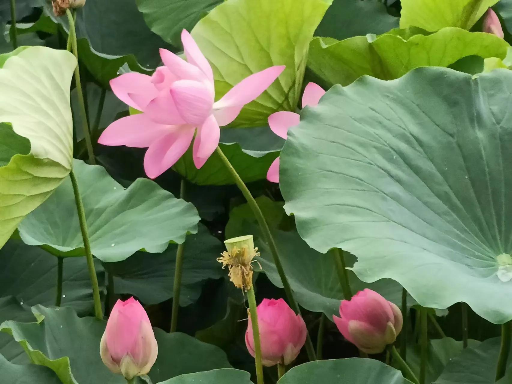 微头条辅助创作工具,怎么创作微头条赚钱