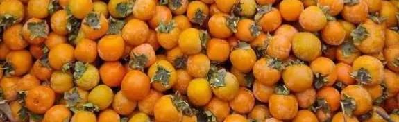 北方农村的孩子，只知道来自南方的桔子，却不认识北方本地的柿子