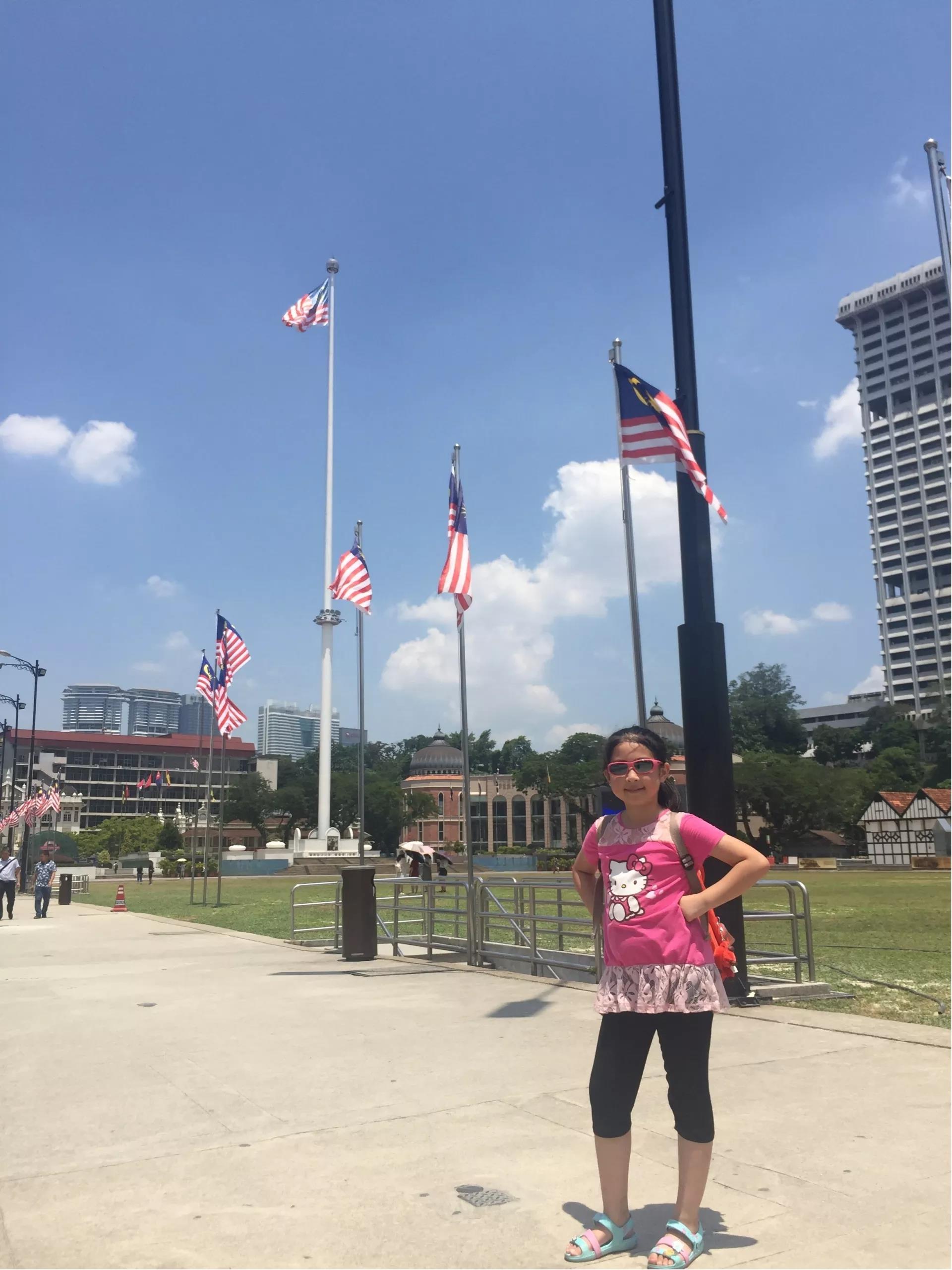 钱猫猫王者荣耀,钱猫猫的视频