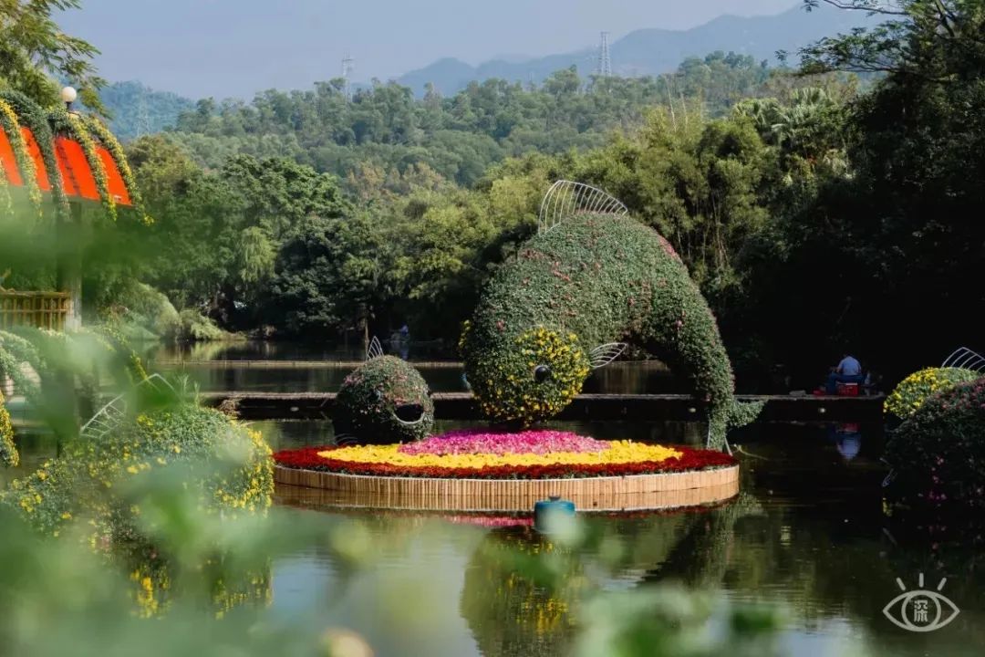 国内好看小众的湖泊,深圳好玩的湖泊有哪些