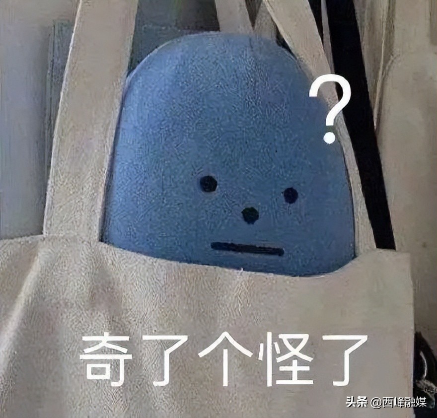 为什么外国都用本人当头像,为什么不用小孩子照片做头像