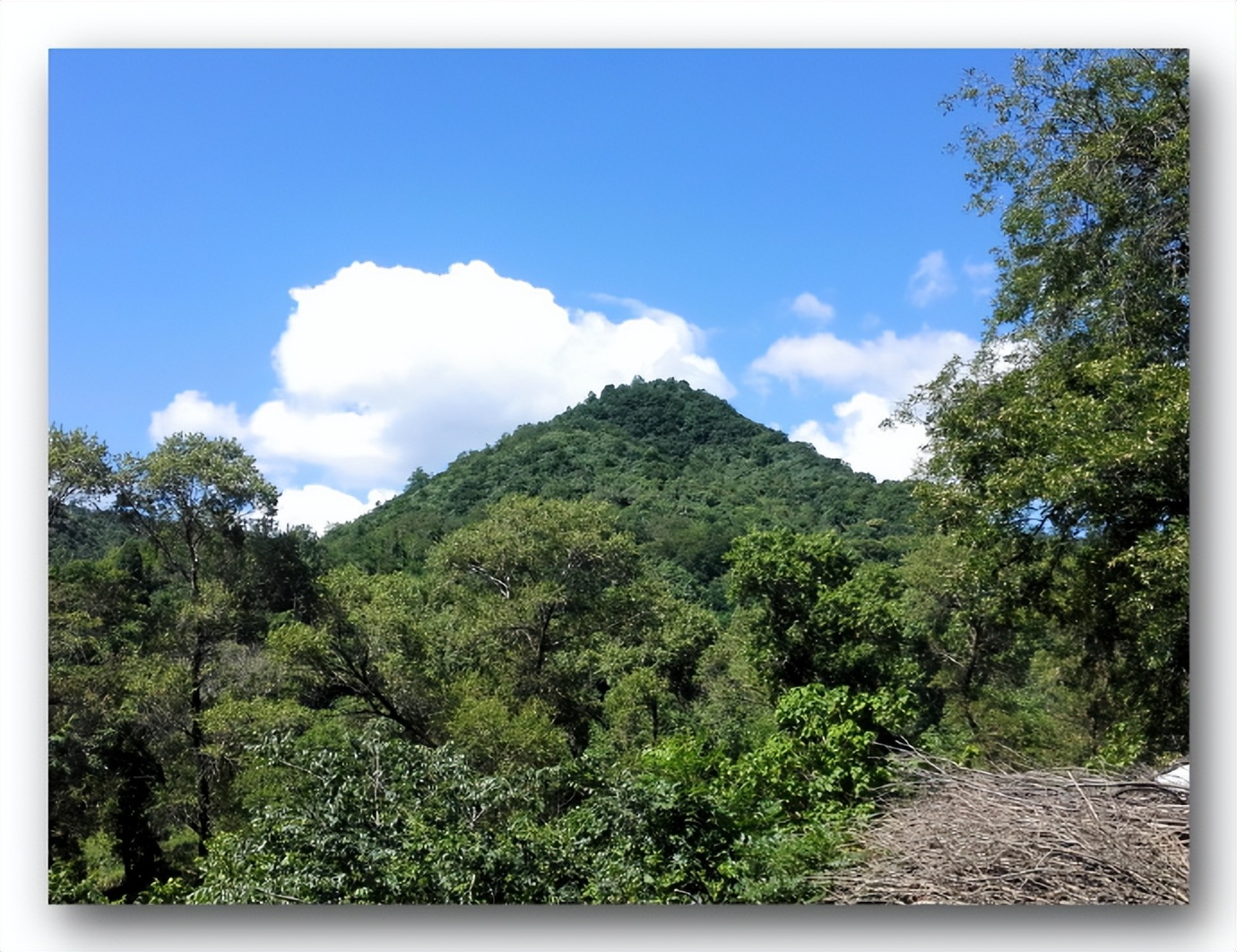 枫丹白露中国,探访中国最北漠河