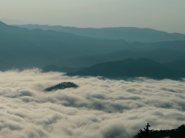 男人想女人不会直接表达吗,男人疯狂想见一个女人