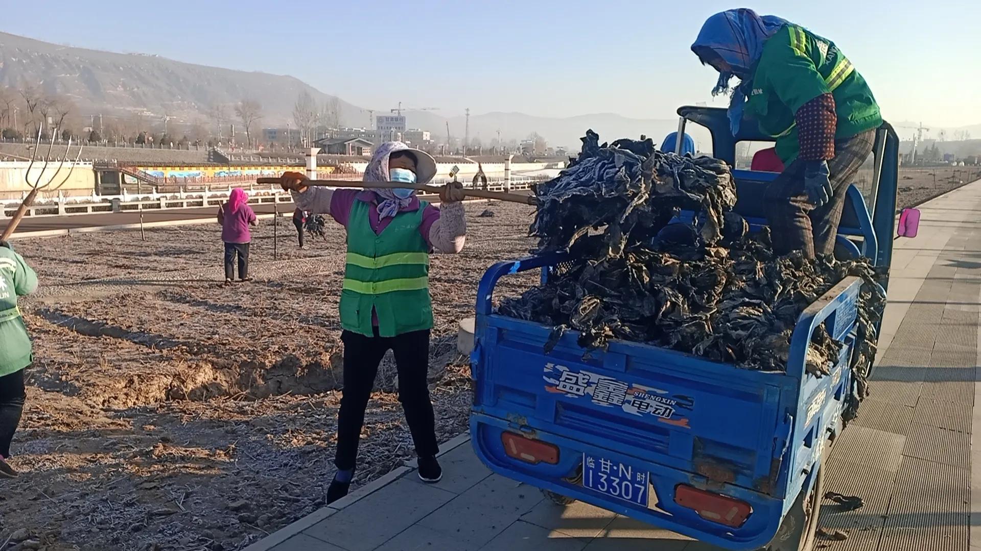 三抓三促行动下一步工作重点,三抓三促行动工作进展情况