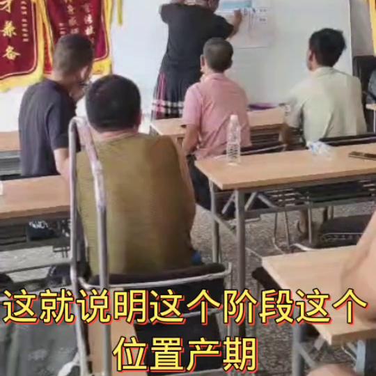 改良牛不孕,母牛不育的症状和治疗