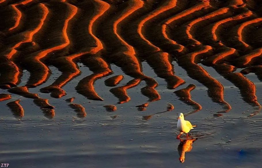 最美中国年摄影作品,大美中国全国摄影大赛