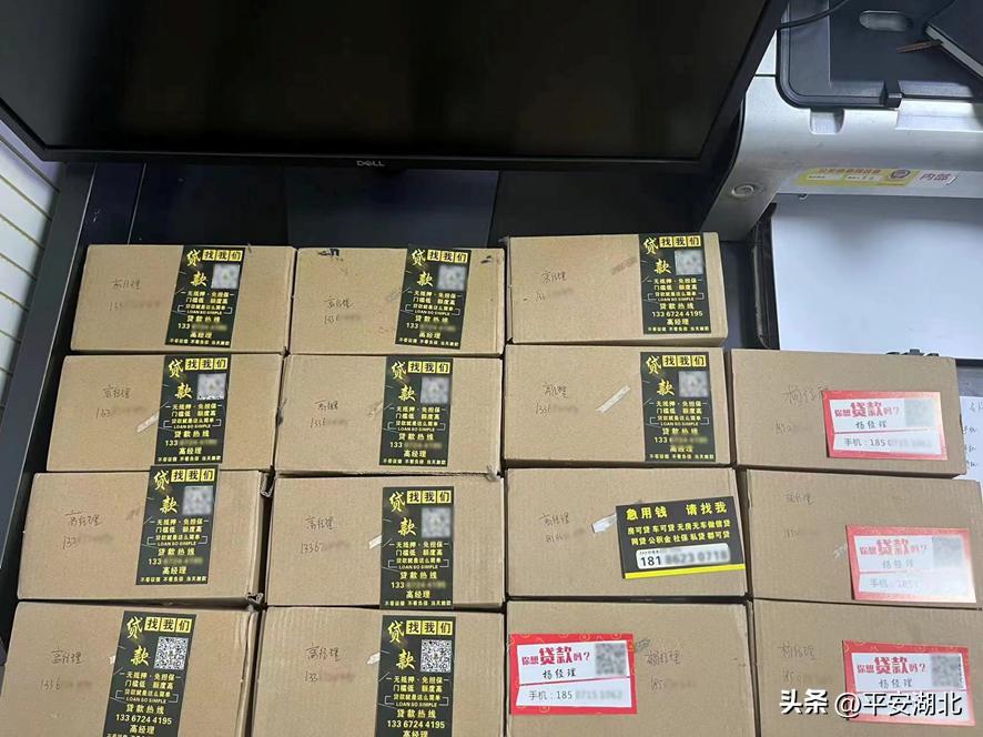 湖北公安【百日行动】|警灯与月光交织武汉洪山警方夏夜护航“大学之城”