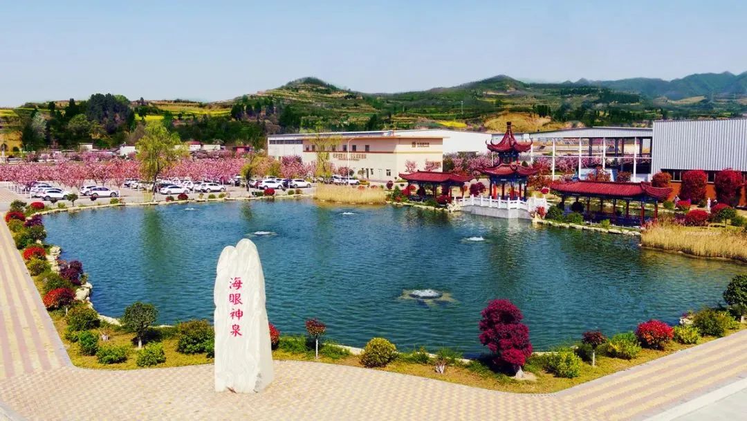 金徽老窖产地是哪里,金徽老窖酒品鉴