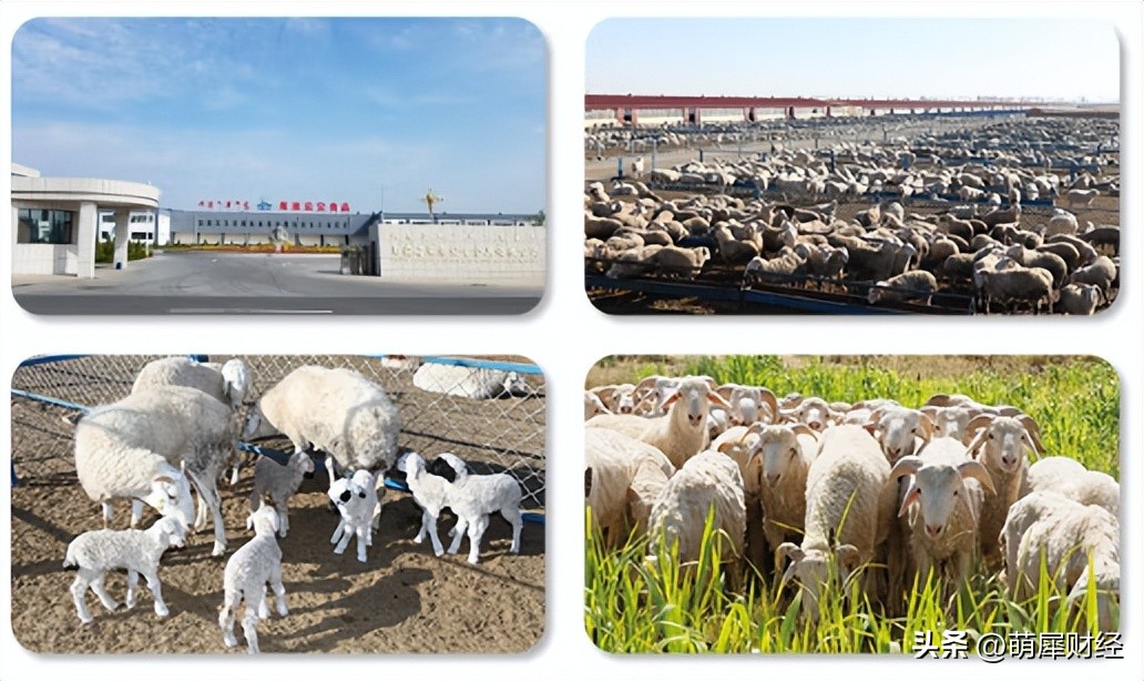 内蒙古狼山镇变“奔富村”：年收入翻十倍，县城买别墅是什么撑起牧民的钱袋子？