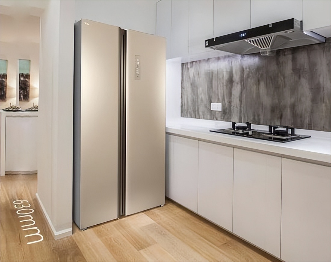 双开门冰箱优点与缺点,小米双开门冰箱的优点和缺点