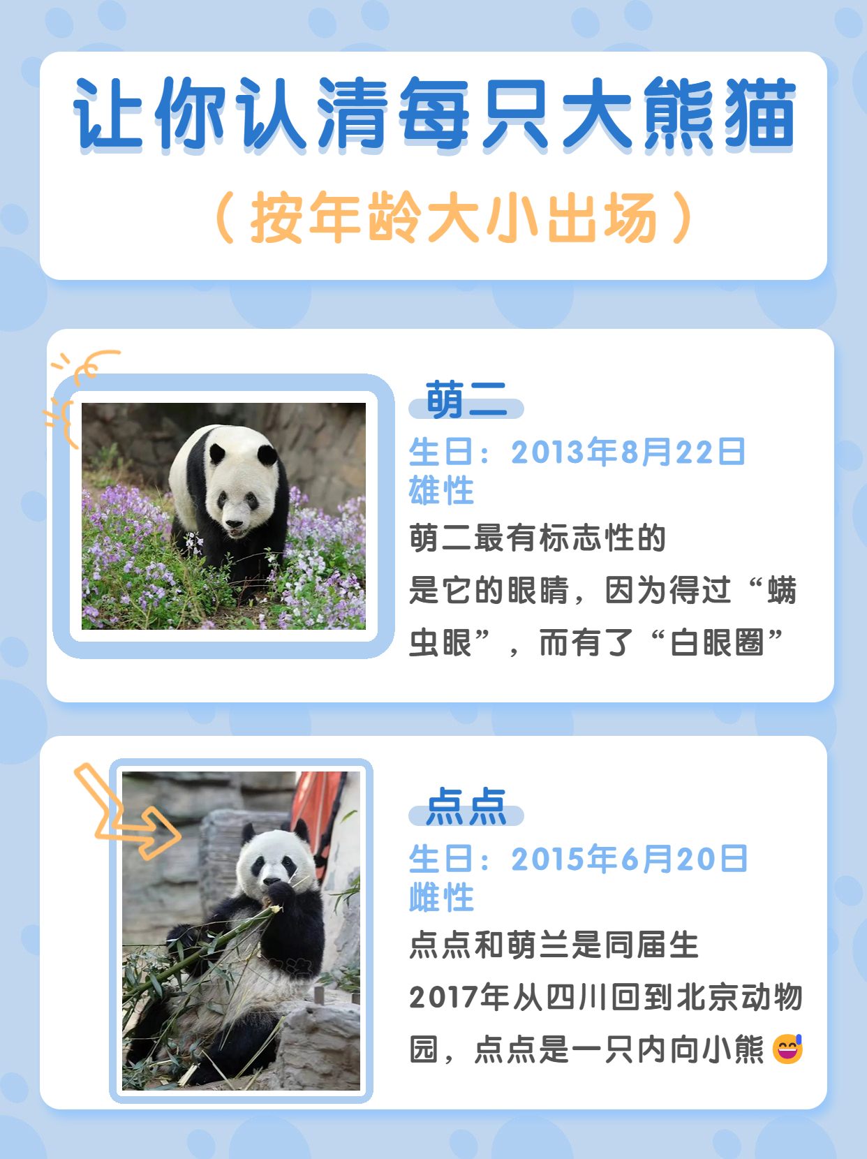 长隆野生动物园行李可以寄存的吗,淹城野生动物园能不能寄存行李