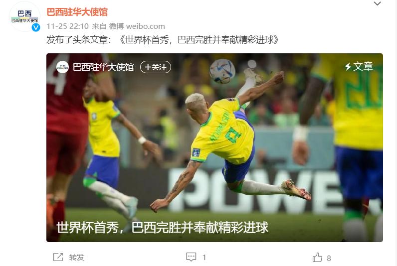 世界杯决赛阿根廷vs法国中国球迷,世界杯美洲区预选赛阿根廷巴西