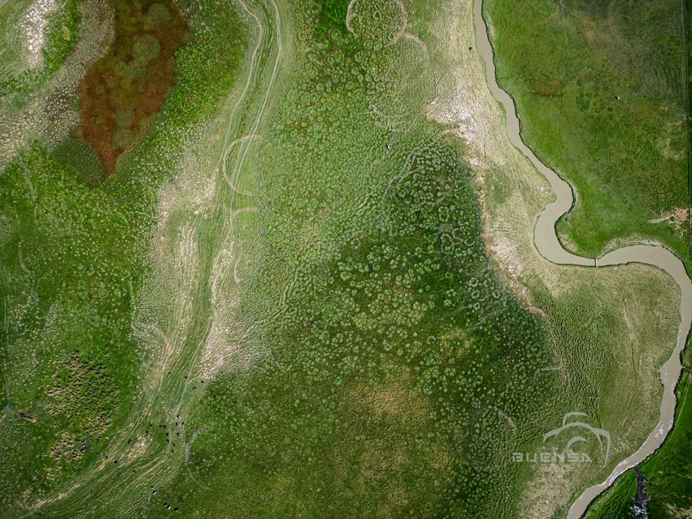 路过*疆新**的那些地方02（很南，很难，*疆新**行12）