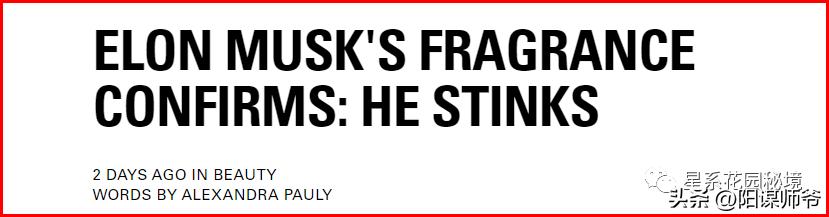 马斯克一开始没钱谁给投资,马斯克没有钱之前做什么