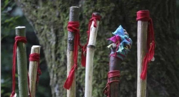 挖参故事结局,挖参奇遇