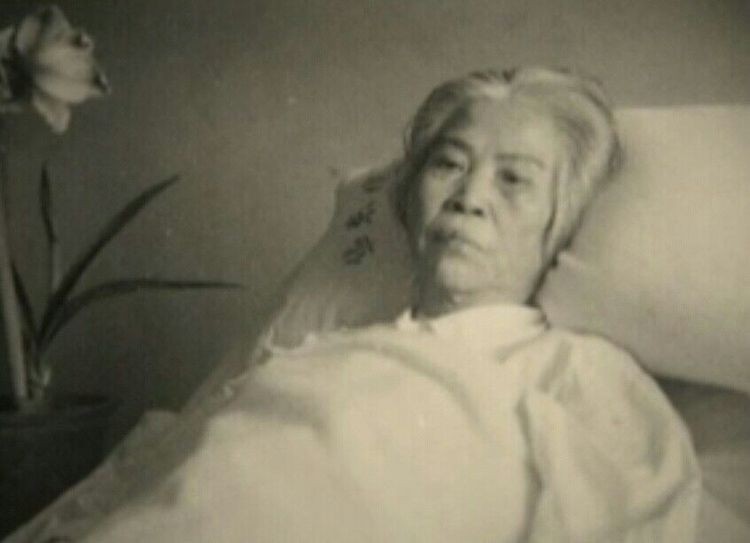 1979年，*子珍贺**终于来到北京，她与毛主席拍下了最后一张“合影”