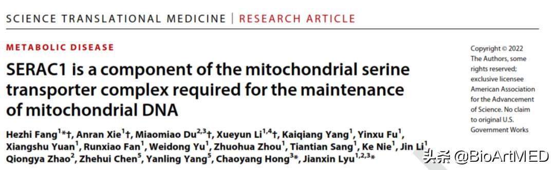 线粒体病基因治疗最新进展,线粒体基因突变糖尿病怎么治疗