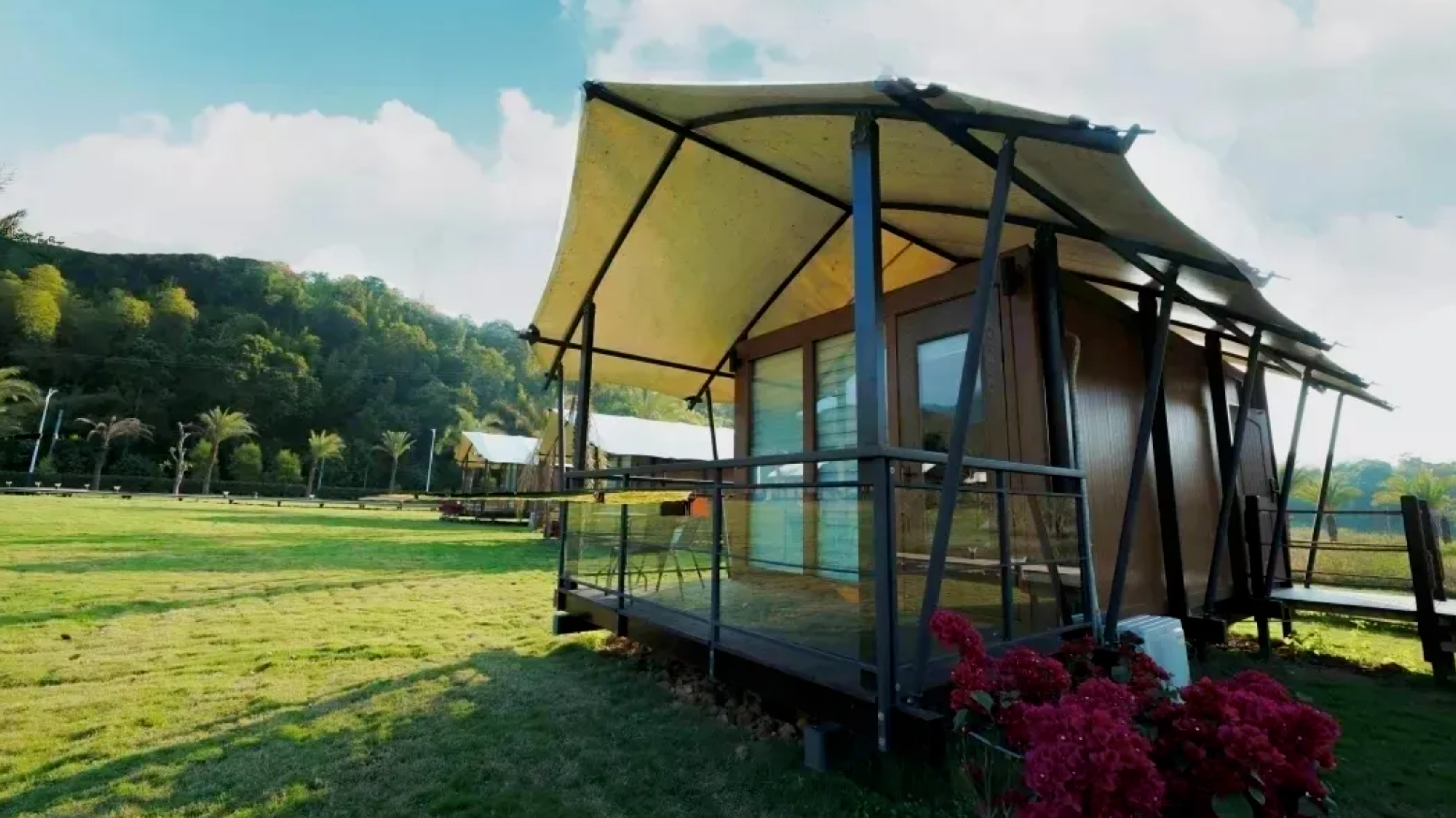 惠州赏梅花地方,惠州惠东梁化镇梅园