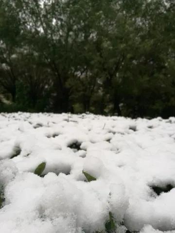 兰州大学萃英学院,央视评价兰州大学