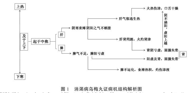 中医内科消渴病辨证分型,消渴症方解