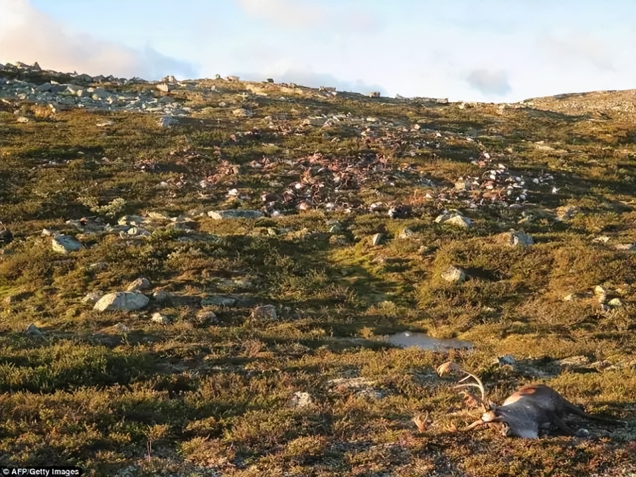 闪电在海上能电死鱼吗,一道闪电相当于多少度电