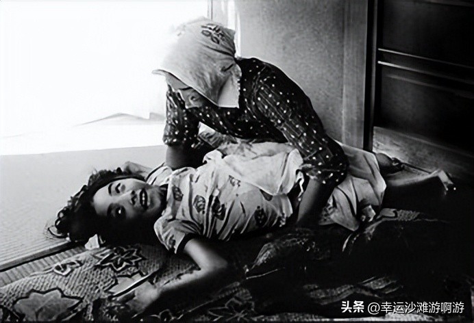 你看过海豚跃起的瞬间吗,你见过海豚湾吗