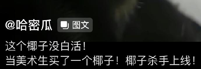 当美术生买了个椰子,当美术生第1次买东西