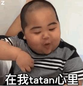 小胖子tatan表情包合集,tatan小胖子表情包对话