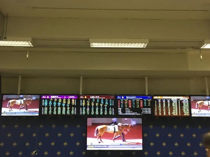 在香港看赛马是什么体验？教你10HKD在香港收获有钱人的快乐
