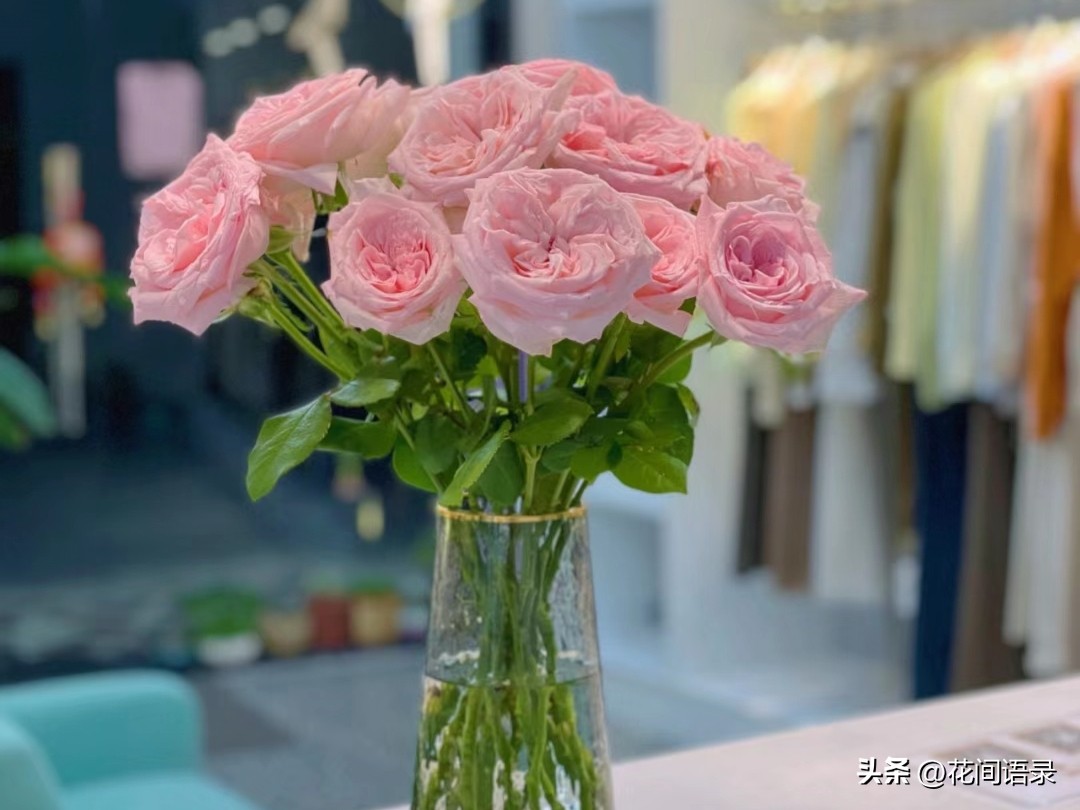 刘亦菲抱的鲜花是什么花呀,刘亦菲抱鲜花的照片为啥那么火