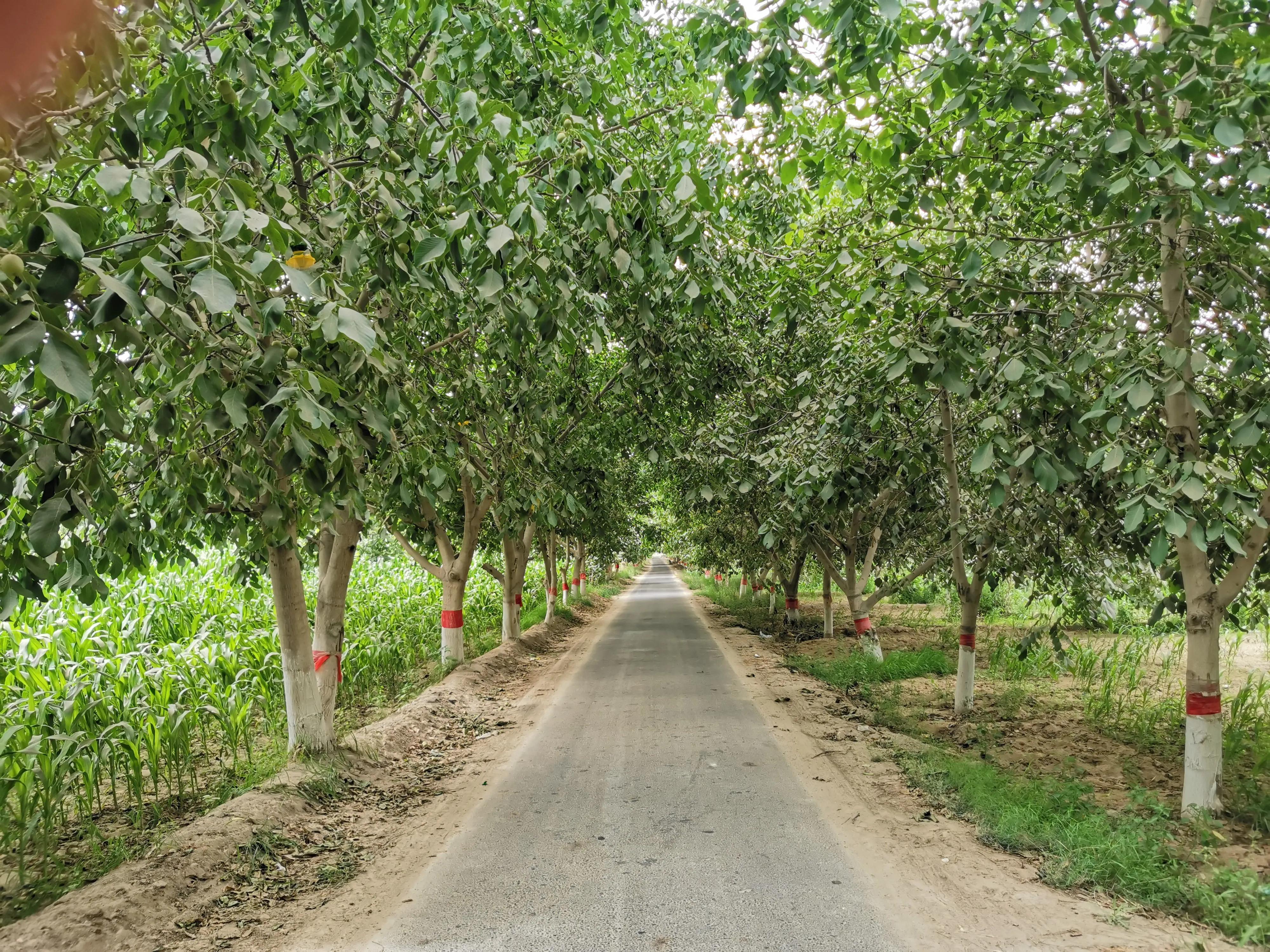 骑行新疆喀什噶尔,和田至阿拉尔沙漠公路骑行攻略