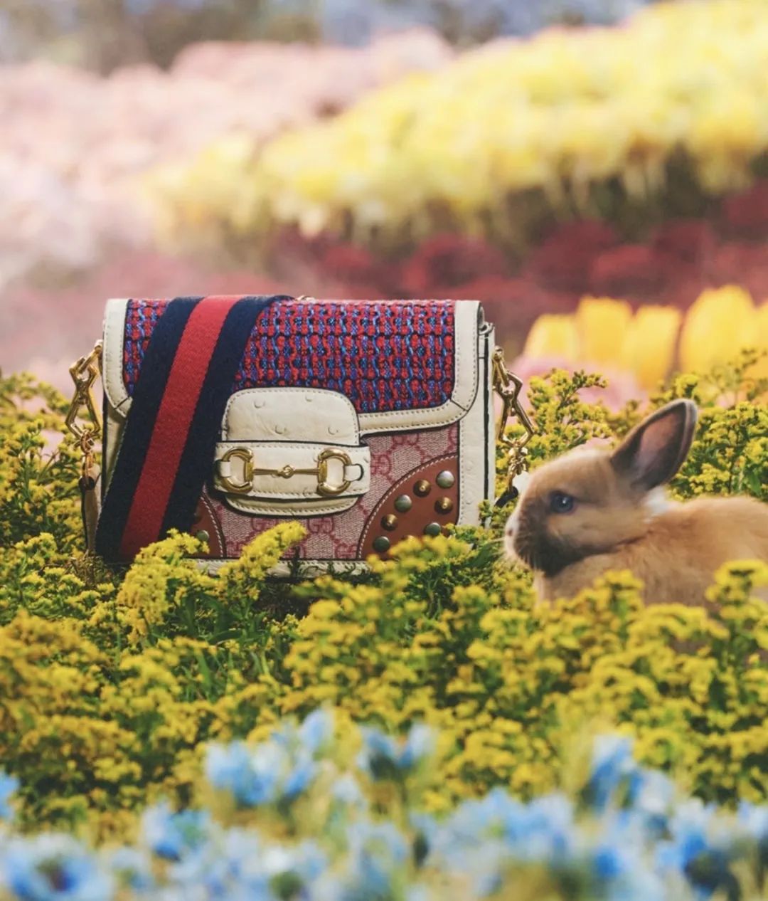 gucci扑克多少钱,gucci扑克