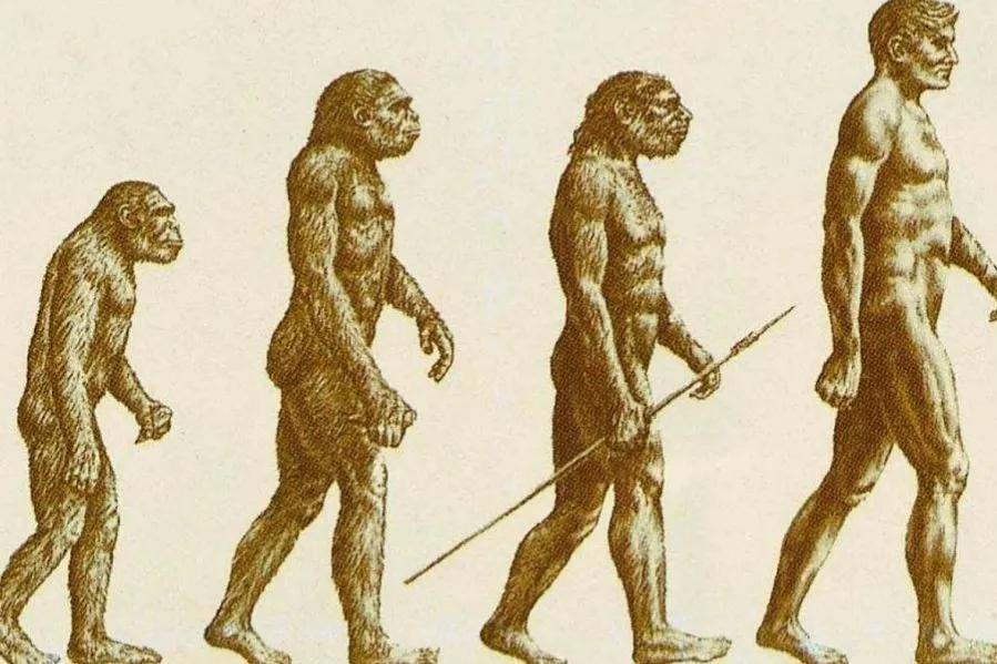 小脚趾被撞肿了怎么办,小脚趾被撞了骨头移位怎么办