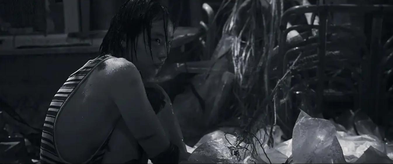 智齿港片,智齿港片电影