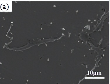 中北大学赵宇宏教授团队:石墨烯纳米片/AZ91D镁基复合材料腐蚀行为研究