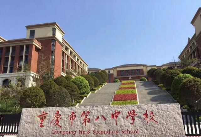 重庆七龙珠学校最新排名,重庆七龙珠学校