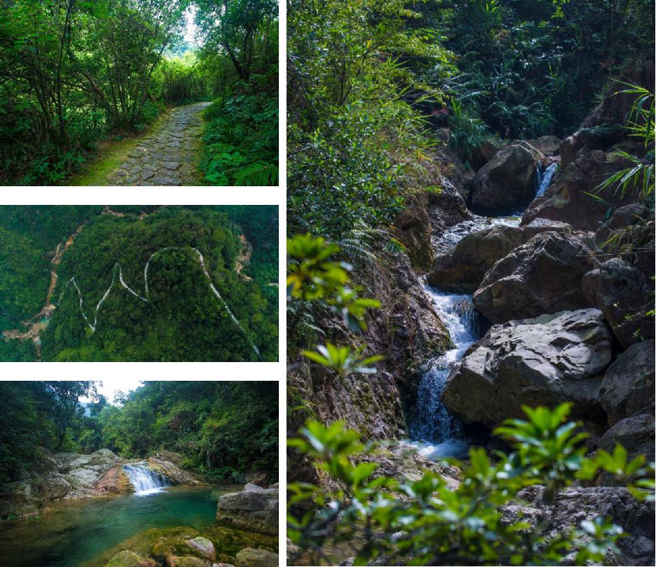 鹤山古劳水乡自由行,鹤山自由行攻略