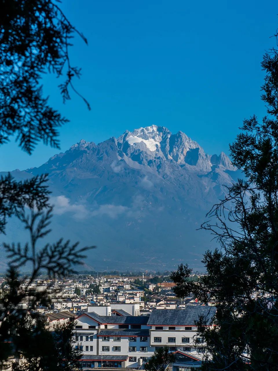 和他聊完，我决定去做一个数字游民|对话IC实验室联合创始人大温